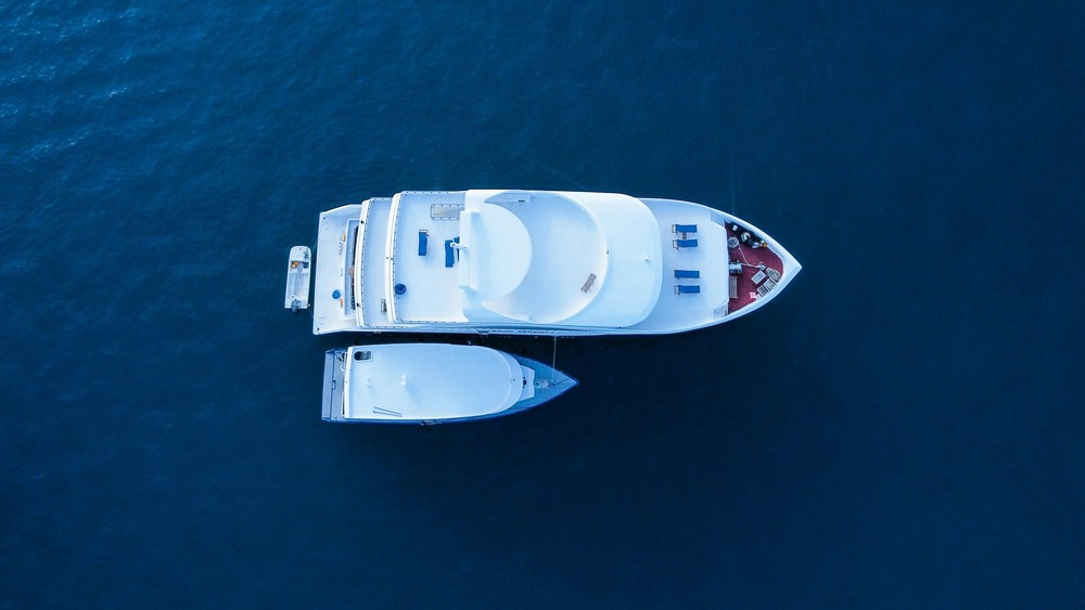 قوارب الدعم متعددة الوظائف وجسر يربط بين الفخامة والعملية المصدر: Unsplash 