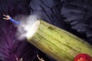 بالصور....عالم صغير .