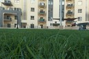 تقييم الطائرة باروت بيبوب Parrot Bebop