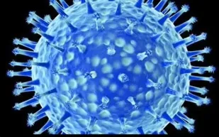 لاول مرة الامارات تعلن تخلص حالتين من فيروس كورونا