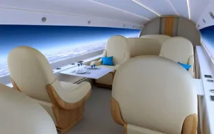 بالصور طائرة تحولك لعصفور يحلق في السماء