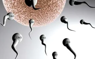 دراسة: عمر الرجل لا يؤثر على التلقيح الصناعي