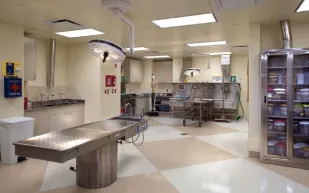 طبيب مصري يحتفل بزفافه مع خطيبته في المشرحة..بالصور