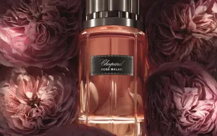 شوبارد: هذه هي المكونات السرية للعطور الملكية