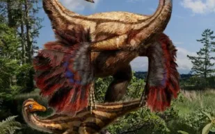 ديناصورات تحورت على مدى 50 مليون سنة لتصبح طيوراً!