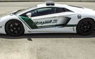 خلفان يعلن : شوارع دبى تشهد تسيير مركبات بلا سائق   