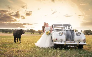 بالصور..ضيف ثقيل يفسد لحظات “رومانسية”