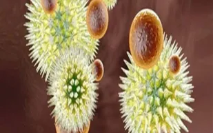 هل ينتقل فيروس الإيبولا القاتل عن طريق العطس ؟