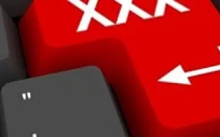 هذا ما قد يحصل للحاسوب خلال تصفح مواقع اباحية