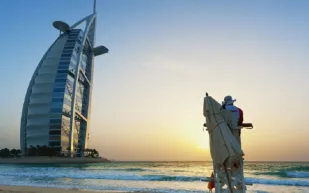 أبغض 5 مهن تثير استياء السكان في الإمارات