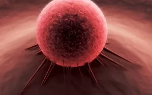 الاصابة بالسرطان تعود الى الحظ السيء