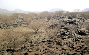 سعودي يعود لأسرته بعد 3 ليالٍ في القبر