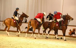 مهارات الخيول والفرسان تُبهر جمهور معرض دبي الدولي للخيل
