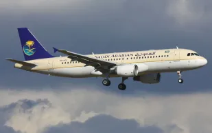 توقيف 4 مسافرات "قزقزن" البزر في طائرة سعودية