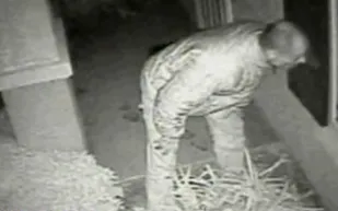 عامل يهتك عرض خليجية في حمام المسجد