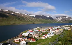 في أيسلندا.. يصوم المسلمون 22 ساعة