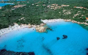 سر المناطق الزرقاء، ولماذا يعيش سكانها حياةً أطول؟