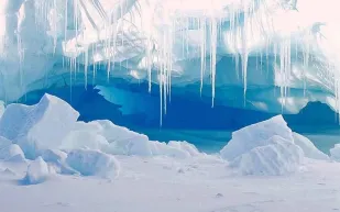 طوكيو ونيويورك وهونغ كونغ عرضة للغرق بعد بدء ذوبان الجليد