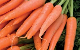 هل مقولة "الجزر يقوي البصر" صحيحة؟