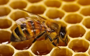 10 حقائق مثيرة قد لا تعرفها