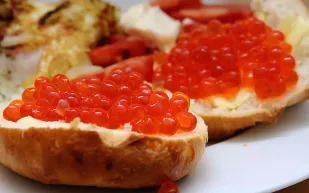 هذا هو أغلى طعام في العالم..