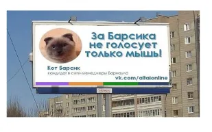 مدينة روسية ترشح قطاً لمنصب العمدة