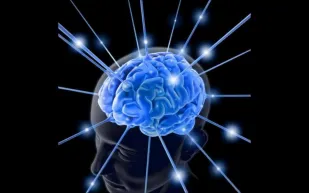 لذاكرة حديدية 6 خطوات ذهبية