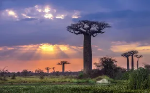 مدغشقر سياحة مثالية لمحبي الطبيعة 