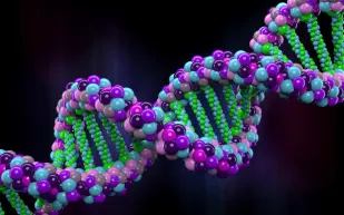 حمضك النووي يخزّن المعلومات!