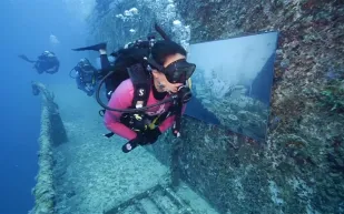 فلوريدا المعرض الفني الاكثر عمقا في العالم 