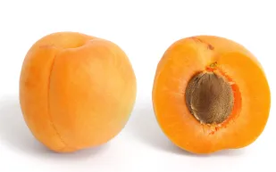 نواة عجوة المشمش سم يقتل آكليها