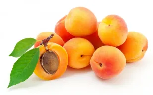 تناول أكثر من ثلاث ثمرات مشمش ربما يؤدي للوفاة