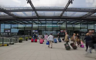 تمساح أمريكي يثير الرعب بين المسافرين في مطار "غيتويك"