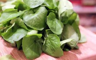 لماذا عليك تناول الجرجير في رمضان؟