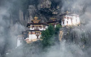 معبد عش النمر اشهر معابد البوذيين