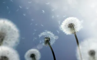 الربو 9 خطوات كي لا يتحكم بك