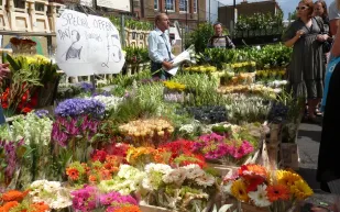 أحد مليء بالزهور في سوق طريق كولومبيا في لندن