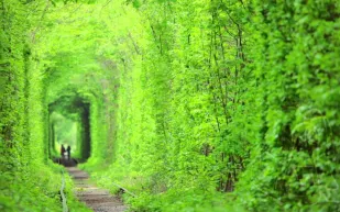 نفق الحب في أوكرانيا وجهة جذبٍ لعشّاق العالم