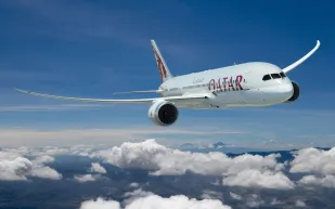 ايقاف مضيف جوي في الخطوط القطرية بسبب صورة فما هي