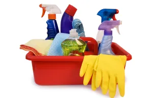 صورة خادمة تجتاح مواقع التواصل الاجتماعي ما قصتها