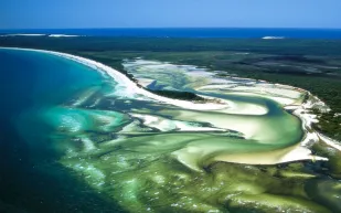 جزيرة فريزر زهور ورمال