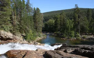 ليمينجوكي الثلج والمرج  في وقت واحد