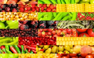 ما هي الاكلات التي تحارب الخرف ؟