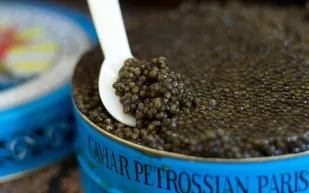 أغلى 10 مأكولات بالعالم يفوق سعر بعضها الذهب إستمع