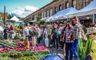 متاجر الورود في عاصمة الضباب