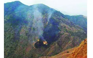 تحطم طائرة باكستانية ومقتل جميع ركابها