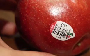 ماذا تعني الملصقات على الفاكهة