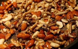 عيد الحب وحلوى الحشرات