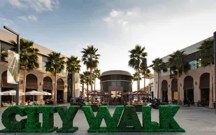 فيديو|عقوبة غريبه للمتورطين بواقعة سيتي ووك