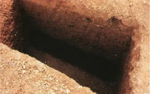 صور| إماراتي لفظ أنفاسه  بعدما دفن حيا والسبب غريب